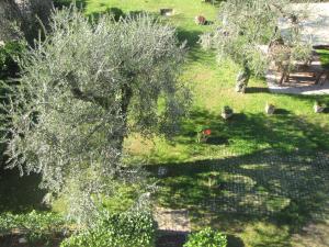 Residence Villa Margherita