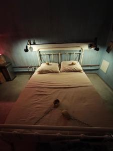 Appartements Glauque Room Horror and cinema themed studio : photos des chambres