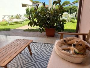 La Meria di Maria Villa Rosa