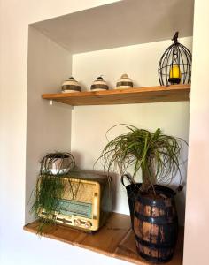 Maisons de vacances Gite de charme a 10 min de Narbonne : photos des chambres