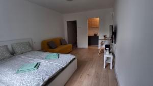 Apartament u Krzyżaka
