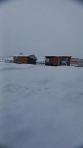 Cabañas Aliwen Lonquimay