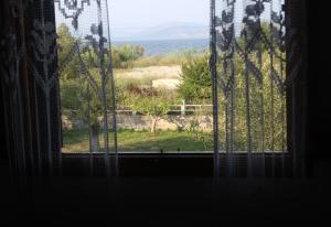 Nafsika Family House