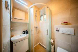 Fleksibilni SelfCheckIns 176 - Zagreb - Studio - Centar - Novo