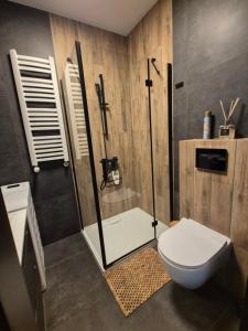 Apartament w Willii Szmaragd