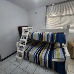 403 Dromedaris On the Beach