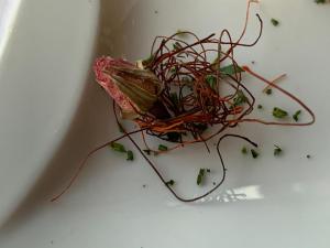 Ferienhaus direkt am Strand in Prigradica, Insel Korčula