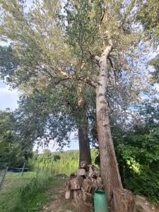 Tiszavirág Nagyhalas Horgász apartman