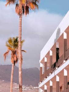 Dobby Ocean Apartments