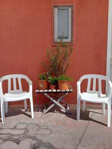 Il Gatto e Pirouette