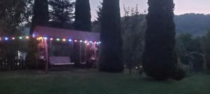 Casa Bunicii Moieciu