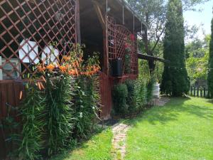 Casa Bunicii Moieciu