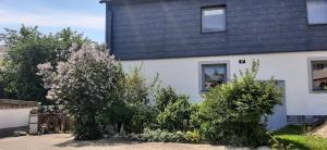 Ferienwohnung Fichtelgebirge