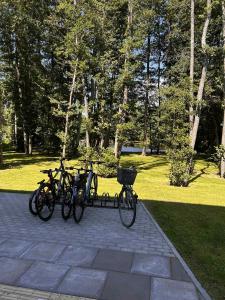 Nemirsetos Provansas