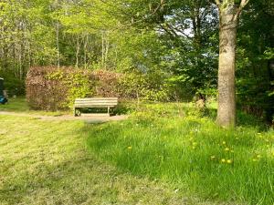 The forest cottage with petanque court