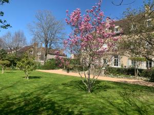 Appartements maison delalonde Autun centre charmant meuble 5 places : photos des chambres