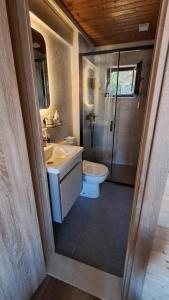 Sweet house of Krasici