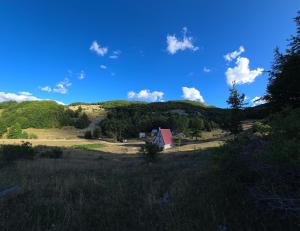 Cottage by the brook