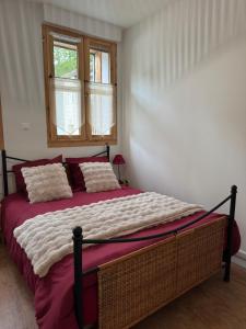 LEtoile des 2 Villages - Résidence le JANREMON - Rez-de-chaussée - Accès skis aux pieds