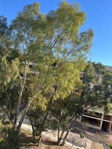 Woodland Heights APPARTMENT