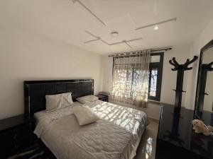 Moul Partma Saidia Med