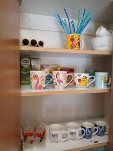 DEJANA NS - Stan na dan - FREE Street Parking