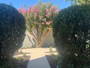 Casa com jardim perto da praia