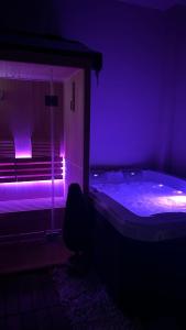 Appartements Duplex Luxe - Sauna & Jacuzzi Privatif : photos des chambres
