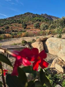 Maisons de vacances CasaKia : photos des chambres