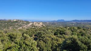 Belvedere Country House img16