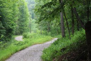 Diamond Creek | Sleeps up to 6