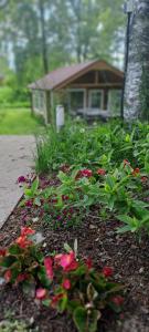 Caloroczny domek letniskowy ze stawem