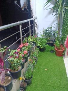 Amazing apartment near the beach