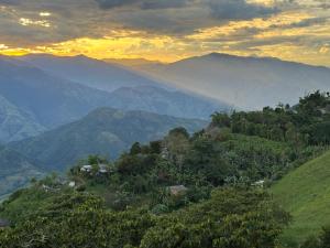 Finca turística Villa Carolina