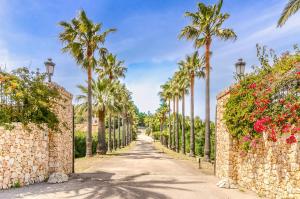 Luxury Villa Es Molinet