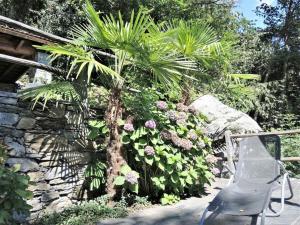 Holiday home in Cugnasco with swimming pool