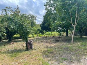 Villas For travelers looking for a beach : photos des chambres