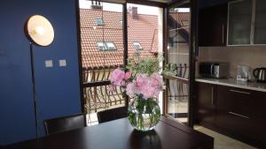 Apartament Wisła