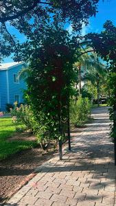 Beautiful Experience