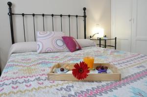 Apartamentos Dunia 211