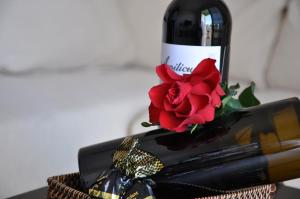 Apartamentos Dunia 211