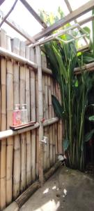 Tribu Kihud "Experience Simple Living"