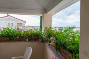 Apartments Hortensia