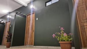 Posada Turistica Green House