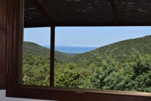 Blucamp Natural Village