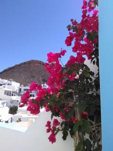 Antonia Rooms Anafi-Island Greece