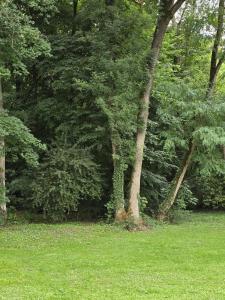 Campings Trianon Camp-s - Micro-camping privatif proche chateau de Villandry : photos des chambres