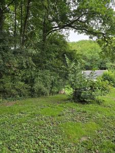Campings Trianon Camp-s - Micro-camping privatif proche chateau de Villandry : photos des chambres