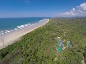 Olas Verdes Hotel, Nosara