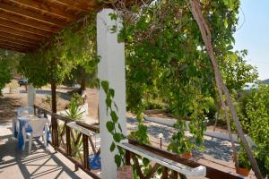Sonia Studios Lesvos Greece